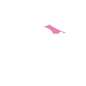 Flex- und Sternzelte